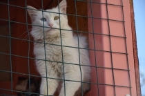 Отзыв по туру "Сокровища Восточной Анатолии"+2 дня в Стамбуле.