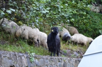 Отзыв по туру "Сокровища Восточной Анатолии"+2 дня в Стамбуле.