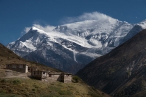 torongla8