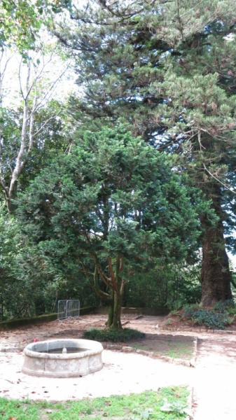 Солнечный и теплый октябрьский Лиссабон, сказочная Синтра, могущественный океан