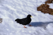 Австрия+кусочек Баварии без авто. Октябрь 2013. Вена-Мюнхен-Зальцбург-Зальцкаммергут-Вена