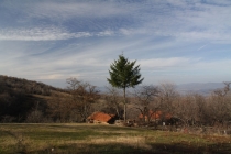 Вся Сербия в январе'14 + UPD! гид по сербской кухне