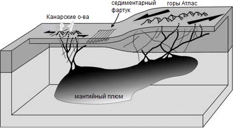 Мой душевный остров Тенерифе. Вторая половина ноября 2013