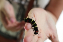 Гуанчжоу-Манила-Боракай-Панглао