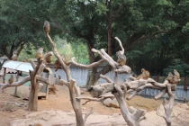 Гуанчжоу-Манила-Боракай-Панглао