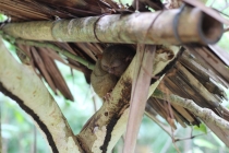 Гуанчжоу-Манила-Боракай-Панглао