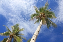 Манила-Корон-ЭльНидо-Панглао-Бохол-Себу-Боракай (Новый Год Январь 2013)