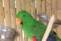 Манила-Корон-ЭльНидо-Панглао-Бохол-Себу-Боракай (Новый Год Январь 2013)