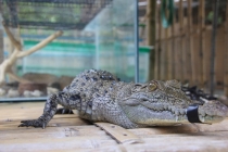 Манила-Корон-ЭльНидо-Панглао-Бохол-Себу-Боракай (Новый Год Январь 2013)