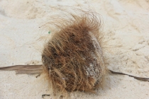 Манила-Корон-ЭльНидо-Панглао-Бохол-Себу-Боракай (Новый Год Январь 2013)