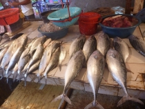 Манила-Корон-ЭльНидо-Панглао-Бохол-Себу-Боракай (Новый Год Январь 2013)