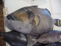 Манила-Корон-ЭльНидо-Панглао-Бохол-Себу-Боракай (Новый Год Январь 2013)