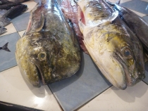 Манила-Корон-ЭльНидо-Панглао-Бохол-Себу-Боракай (Новый Год Январь 2013)