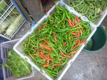 Манила-Корон-ЭльНидо-Панглао-Бохол-Себу-Боракай (Новый Год Январь 2013)