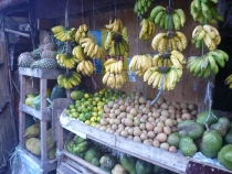 Манила-Корон-ЭльНидо-Панглао-Бохол-Себу-Боракай (Новый Год Январь 2013)