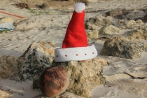 Манила-Корон-ЭльНидо-Панглао-Бохол-Себу-Боракай (Новый Год Январь 2013)