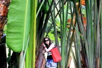 Рио - Игуасу, 12 дней счастья или eu te amo Brasil!