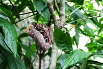 Рио - Игуасу, 12 дней счастья или eu te amo Brasil!