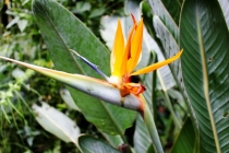 Рио - Игуасу, 12 дней счастья или eu te amo Brasil!