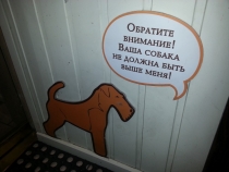 Санкт-Петербург на Рождество: почти неделя и ни снега, ни морозов... (2-8.01.2014)