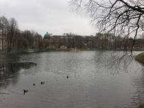 Санкт-Петербург на Рождество: почти неделя и ни снега, ни морозов... (2-8.01.2014)