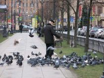 Санкт-Петербург на Рождество: почти неделя и ни снега, ни морозов... (2-8.01.2014)