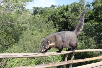 Рио - Игуасу, 12 дней счастья или eu te amo Brasil!