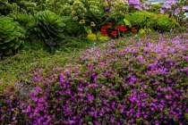 27 Дней по западу США на Мустанге