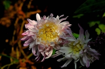 Красивая Сычуань.