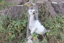 Casamance. Чёрная жемчужина Сенегала.