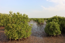 Casamance. Чёрная жемчужина Сенегала.