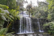 NZ, Тасмания, AU