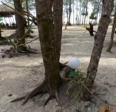 Остров Koh Kho Khao