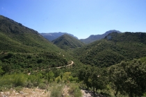 de Seville et ronda 092