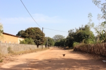 Casamance. Чёрная жемчужина Сенегала.