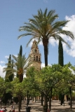 AAndalousie Cordoue A 039
