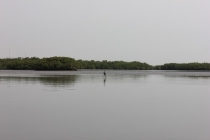 Casamance. Чёрная жемчужина Сенегала.