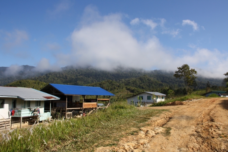 Malaysia truly asia (О. Пангкор, Сингапур, Бако,нагорье Келабит)