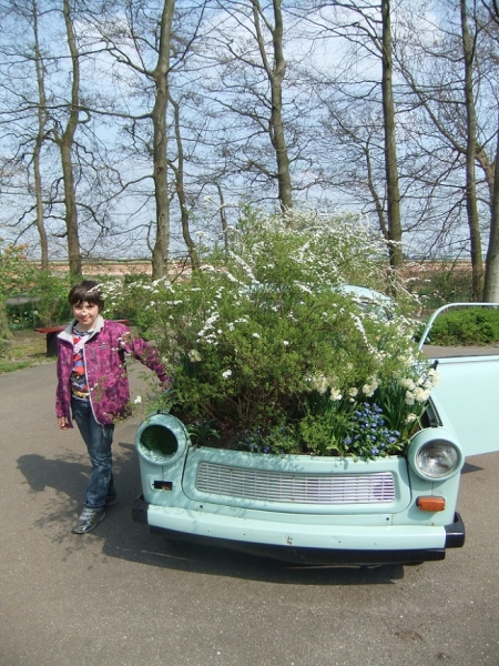 парад цветов