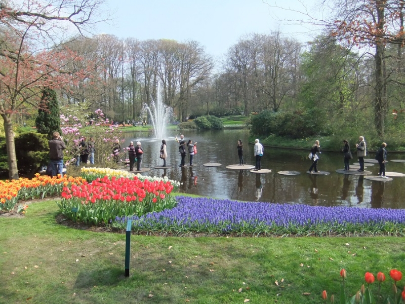 парад цветов