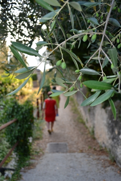 Евро-трип 2013: Украина, Чехия, Италия, Германия.