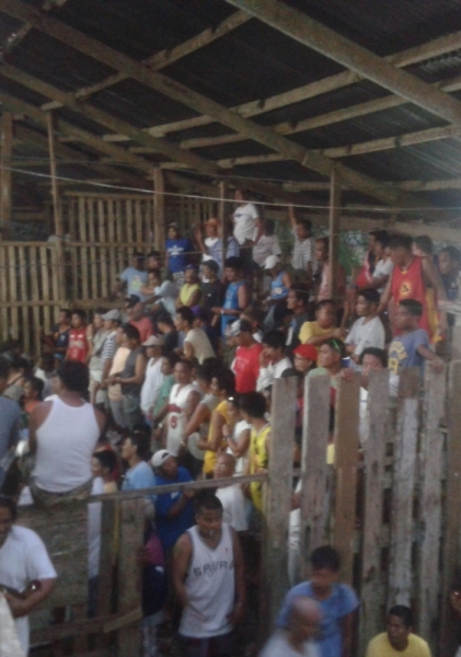 Петушиные бои. Филиппины.