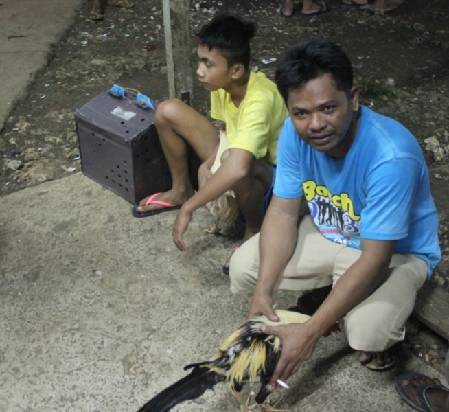 Петушиные бои. Филиппины.