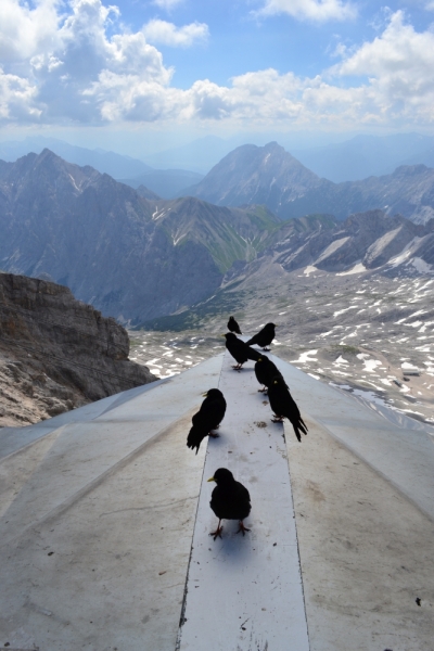 Евро-трип 2013: Украина, Чехия, Италия, Германия.