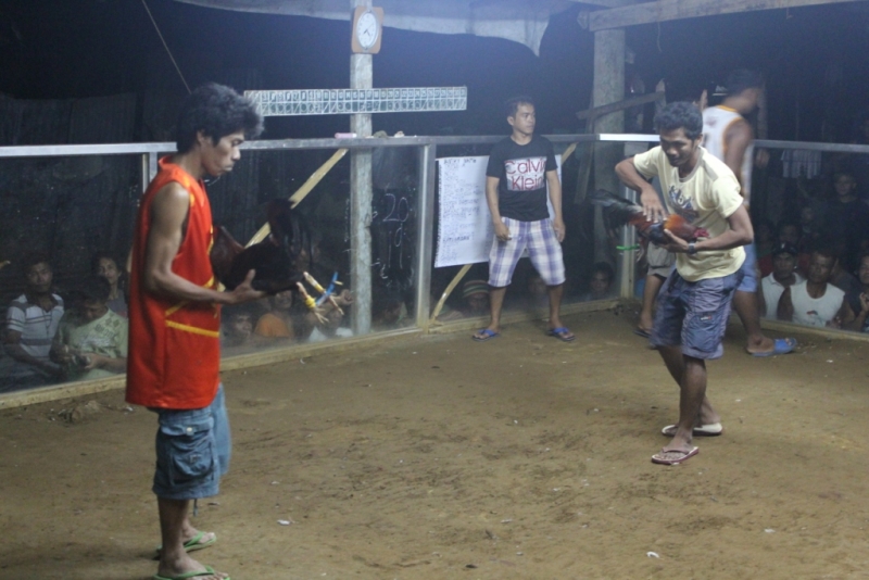 Петушиные бои. Филиппины.