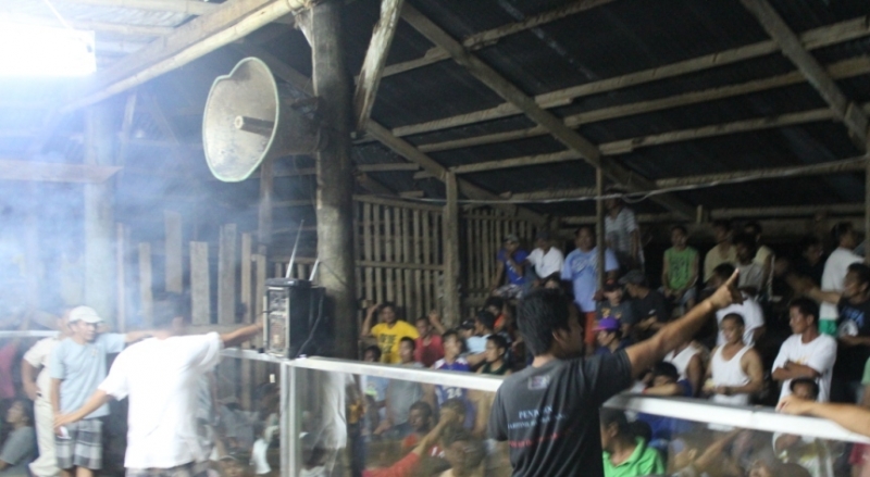 Петушиные бои. Филиппины.