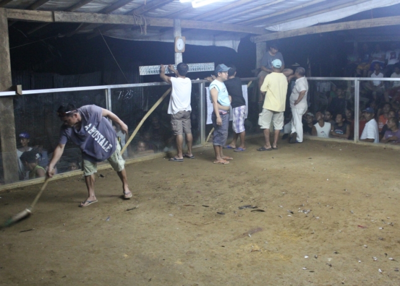 Петушиные бои. Филиппины.