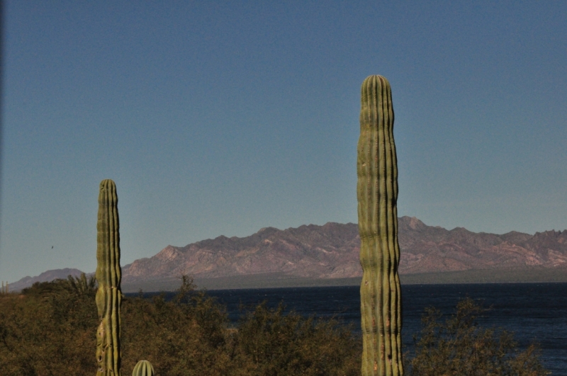 Баха Калифорния . Февраль 2014 г