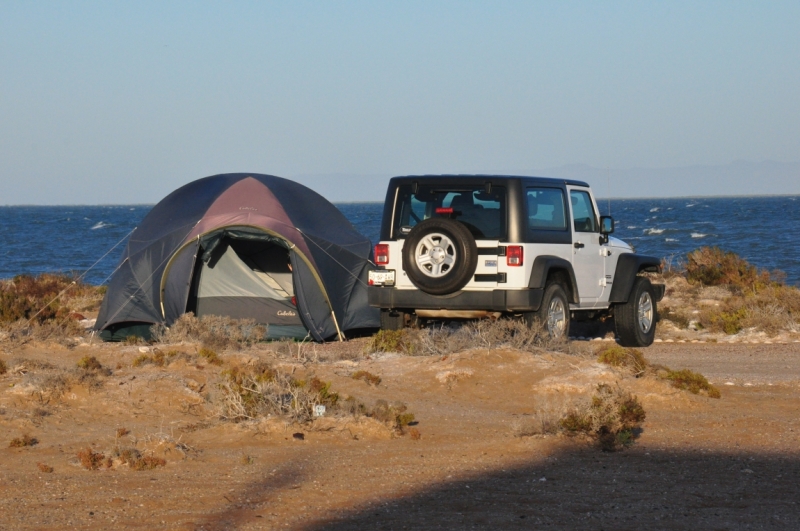 Баха Калифорния . Февраль 2014 г