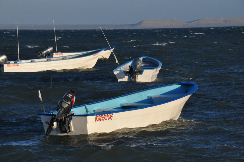 Баха Калифорния . Февраль 2014 г